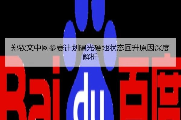 郑钦文中网参赛计划曝光硬地状态回升原因深度解析