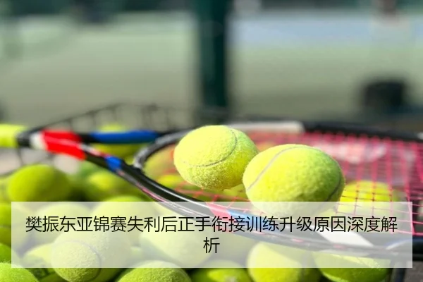 樊振东亚锦赛失利后正手衔接训练升级原因深度解析